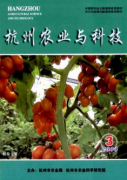 草坪种植新技术