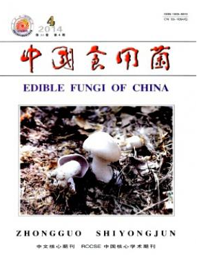 《中国食用菌》容易发表的核心期刊