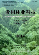 雨季造林如何管理种植