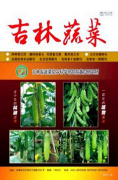 有机蔬菜如何进行栽培