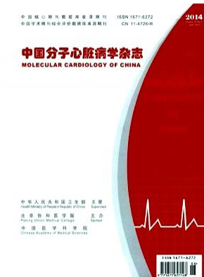 《中国分子心脏病学》期刊发表需要多少钱