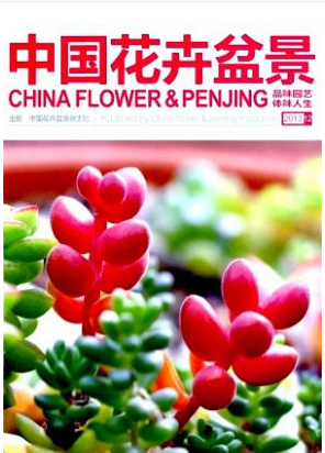 《中国花卉盆景》国家级邮箱