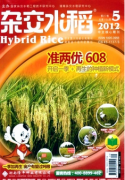 水稻拔节前施肥会增产吗