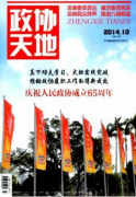 策略实践与文化政治有何关系