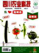 农作物种子生产现状有何不同