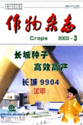 玉米覆膜栽培技术有何优势