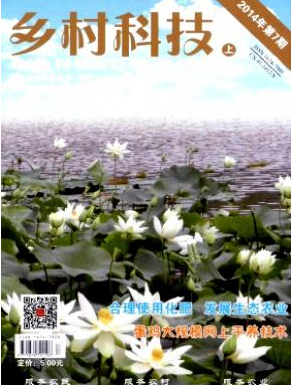 乡村科技