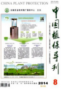 植物保护昆虫如何教学