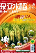 栽培技术对水稻产量有何影响