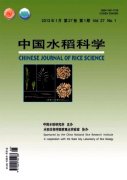 水稻栽培体系原因及增产措施