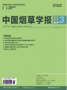 烟草漂浮育苗单粒播种技术