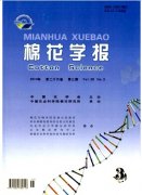 棉花品种对比试验总结