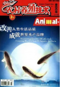 生猪养殖业疾病如何防治