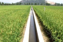 评定高级农田水利工程师要满足什么条件