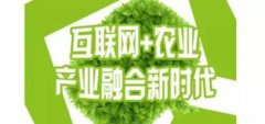 锦州市传统农业品牌化不足及发展策略