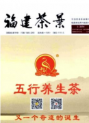 茶马古道时代背景及茶文化体系构建