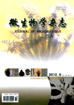 传统发酵食品微生物学研究进展