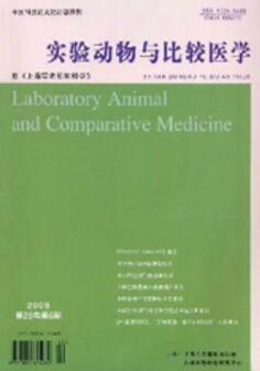 薄型子宫内膜小鼠模型的免疫组化鉴定与生育力评估