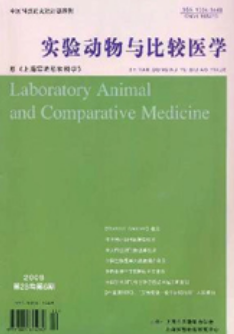 裸鼠原位肝癌动态影像检查与病理对照研究