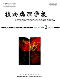 植物病理方向论文如何发表被知网收录