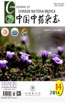 抗肿瘤纳米中药制剂研究