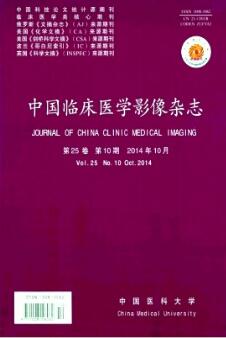 能谱CT判断颈动脉粥样硬化斑块成分及稳定性的临床价值