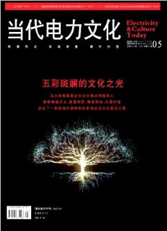 探索巴基斯坦能源项目管理创新与实践