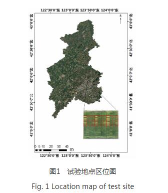 基于红边优化植被指数的寒地水稻叶片叶绿素含量遥感反演研究