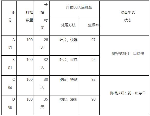 长寿花扦插繁育试验研究