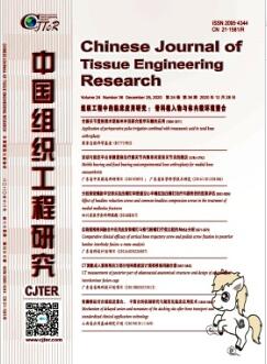 成纤维细胞的生物学特性及分化潜能