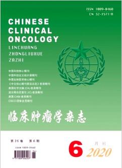 临床肿瘤学杂志属于北大中文核心期刊吗