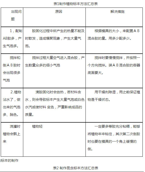 环氧树脂标本制作的实践研究