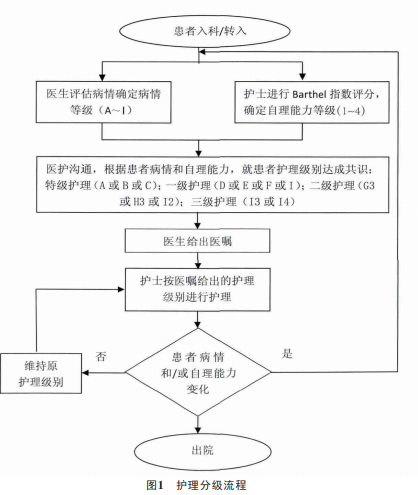 护理分级质量改进的实践及成效
