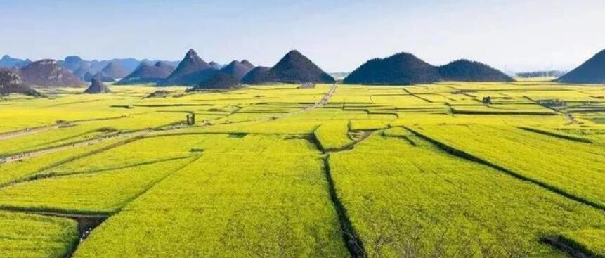浅析乡村振兴背景下全域土地综合整治村庄建设发展规划