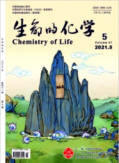 生物化学课程思政与教学创新探索