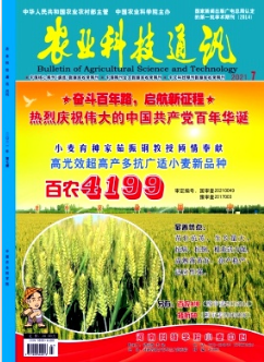 ǭ2011ũ徭ͳƷ