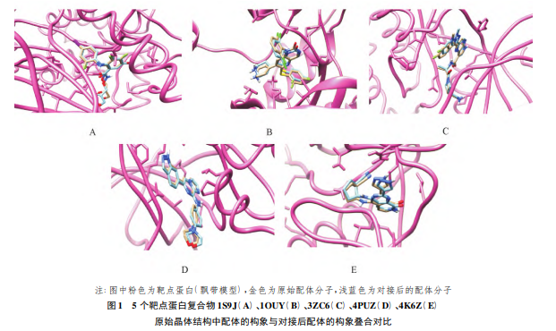 豨桐丸治疗类风湿性关节炎的分子作用机制研究