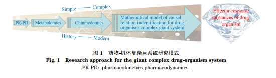 色谱在药物－机体复杂巨系统研究中的应用进展