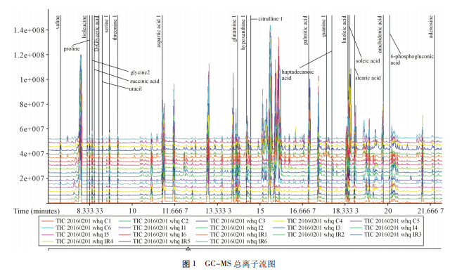 兔体外循环模型心肌代谢组学研究